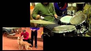 Creative Drumming on quotDINGOquot [upl. by Dahs11]