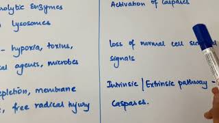 PATHOLOGY Necrosis and Apoptosis Difference [upl. by Eaneg]