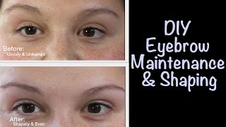 How to Get Even Eyebrows [upl. by Nyral]