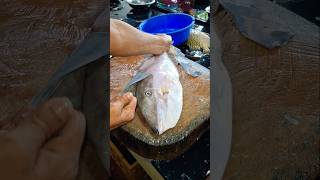 best indin leather jacket fish cutting shots video [upl. by Suoicserp]