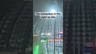 The mosquitos be like when I want to sleep💀 life song funny fyp shorts mosquito [upl. by Yanrahs83]