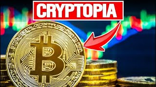 How Cryptopia Became a Leading Crypto Exchange  The Story Of Cryptopia [upl. by Japheth398]