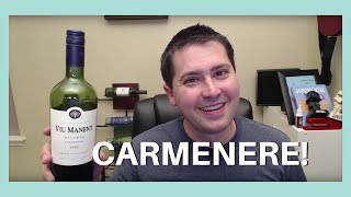 Viu Manent Carmenere Wine Review [upl. by Oihsoy]