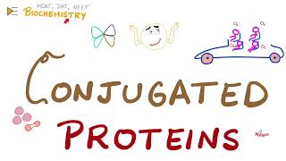 Conjugated Proteins  Biochemistry Series [upl. by Bamford]