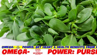 Omega3 Power Get Heart amp Health Benefits from Purslane [upl. by Town]