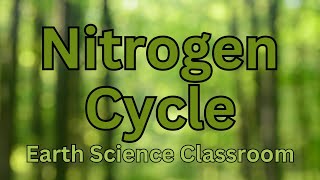 Detailing The Nitrogen Cycle [upl. by Aphra58]