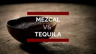 Mezcal vs Tequila Principales Diferencias ¡ Conócelas [upl. by Jahdal425]