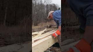 Sawing My Own Lumber sawmill woodlandmills [upl. by Knipe]