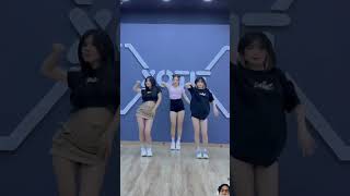 dance dancevideo dancecover chanchang kpop chanskz blackpink chanedit hocsinh lesserafim [upl. by Teplitz578]