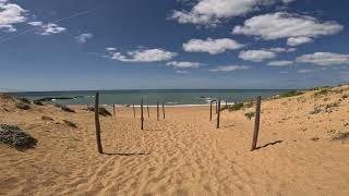 les Sables dOlonne forêt et dune [upl. by Nnylrats512]