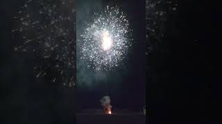 CHRONIC CANISTER SHELLS FIREWORK 2021 VERSION [upl. by Harmonia]