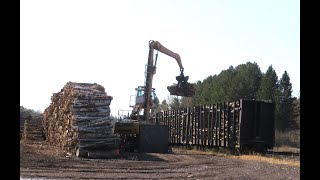 Pulpwood loading on the Fox Valley amp Lake Superior Railroad in Fifield Wisconsin [upl. by Neelram]