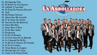 La arrolladora banda el limón 🎼🎵 [upl. by Gaudet226]