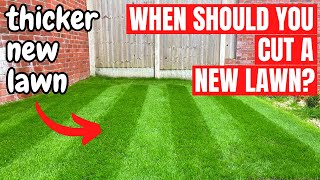 When to Cut and Fertilise a New Lawn  Complete Lawn Renovation [upl. by Etnuhs]