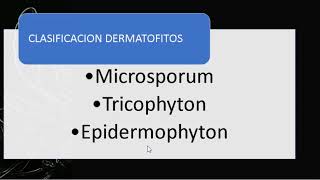 dermatofitos perros y gatos [upl. by Joktan]