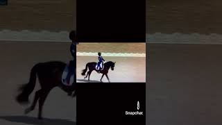 Incrr reprise pour Pauline basquin et son cheval🤩🤩 [upl. by Kirstyn]