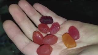 Welchs Fruit Snacks Review [upl. by Gnilrac]