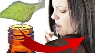 How to use TEA TREE OIL for DANDRUFF and NATURAL HAIR and Why it works so well [upl. by Kcirdef]