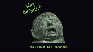 WHY BOTHER  quotCALLING ALL GOONSquot 2023 full album [upl. by Vlad]