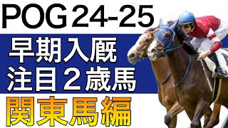 【POG24−25】早期入厩！！注目２歳馬レビュー①【関東馬／美浦編・ドラフト検討向け】 [upl. by O'Malley445]