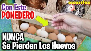 Los Mejores CRIADORES DE GALLINAS TIENEN ESTE NIDO  nidales para gallinas que protegen los huevos [upl. by Nirrak468]