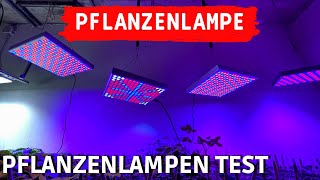 TEST Profi LED Pflanzenlampe vs billiges Amazon Grow Light  LED Pflanzenlichter Vergleich [upl. by Ynatterb]