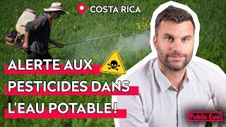 Chlorothalonil comment un pesticide de Syngenta pollue l’eau au Costa Rica Podcast [upl. by Hildy]