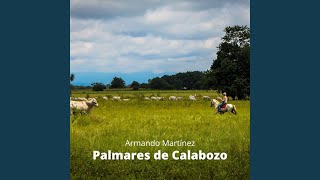 Palmares de Calabozo [upl. by Neitsabes257]