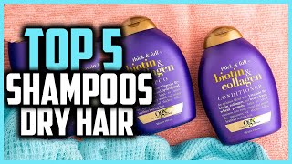 ▶️Best Shampoos for Dry Hair in 2024 [upl. by Llenrrad]