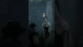 RDR2 Most WANTED Horses Location rdr2 shorts [upl. by Kolnos883]