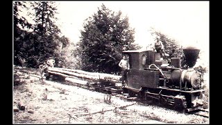 Hiking the Gournosovo Forest Train line in Naousa  Vermio Greece [upl. by Convery]