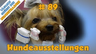 TGH 89  Rasse  Hundeausstellungen  Hundeschule Stadtfelle [upl. by Yllop]