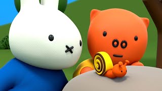 Miffys Bug Hunt   Miffy  New Series  Miffys Adventures Big amp Small  Full Episodes [upl. by Roskes]