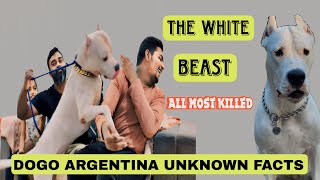 Dogo argentino the white beast training in Hyderabaddagoargentino dogs [upl. by Yousuf110]