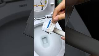 The flushable toilet brush can effectively avoid many small bacteriayoutubeshorts viralvideo [upl. by Omora]