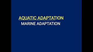 MARINE ADAPTATION  Introduction Characteristics Zonation Stratification Adaptation [upl. by Nakada10]