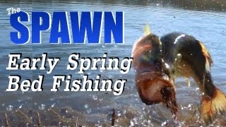 Early Spawn Bed Fishing Hat Cam Bass [upl. by Yhtomot]