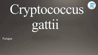 How to pronounce Cryptococcus gattii [upl. by Sandon]