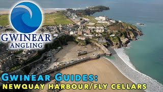 Gwinear Guides Newquay Harbour and Fly Cellars  Newquay Shore Fishing Marks [upl. by Vasya]