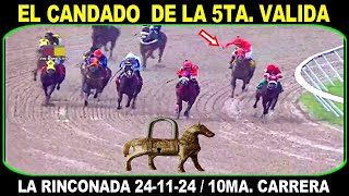 🟢 CANDADO HIPICO DE LA 5TA VALIDA ☑  LR R45  241124 [upl. by Htide]