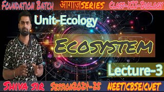 Energy Flow in ecosystemLindemann law of 10lawproducers herbivorecarnivorse omnivorous L3 [upl. by Ylerebmik113]