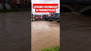 Extremes Hochwasser in PrudnikPolen heavyrain hochwasser polen prudnik viralvideo foryou [upl. by Kcirdaed]