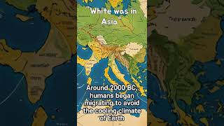 Unveiling the Origins of the White Race A Journey through History shortsvideo history [upl. by Mauldon550]