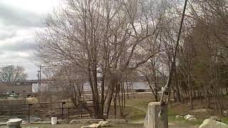 Keene NH Ashuelot River Park Bridge [upl. by Nabe]