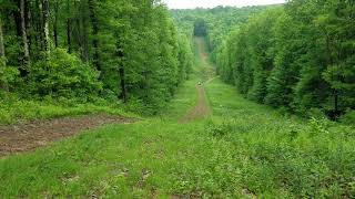 ATV and SXS ride Bruceton Mills area WV [upl. by Icats829]