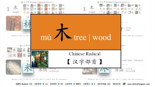 每日中文 常用汉字组件 mù 木 wood 【49 字词……桔，橙，果，桌，椅，束，柬，采，相，沐】 Chinese Radical [upl. by Nylsor899]