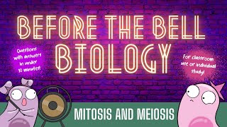 Mitosis and Meiosis Before the Bell Biology [upl. by Adnawak772]