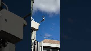 How does anemometer works anemometer wind speed technology weather australia india pakistan [upl. by Elvis]