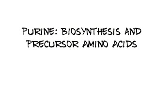 Purine Biosynthesis and Precursor amino acids [upl. by Ailhad]