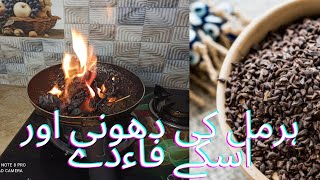 Harmal seeds benefits ھرمل کی دھونی کا طریقھ اور اسکے فاءدے [upl. by Niltiac283]